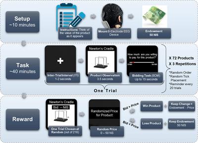 DeePay: deep learning decodes EEG to predict consumer’s willingness to pay for neuromarketing